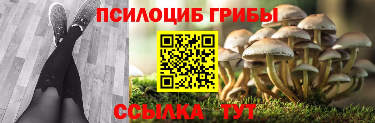 Псилоцибиновые грибы MAGIC MUSHROOMS  Вход с VPN  Луга 
